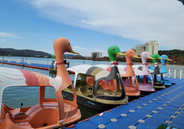 경주버스투어 뚜벅이 시티패스 일일패키지 원데이 당일치기 국내기차여행 커플 야경 가이드투어