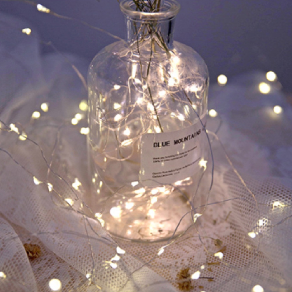 DDUNGK 와이어전구 led 무드등 트리조명 1m 10구 지네 줄조명 앵두 전구