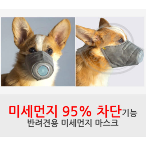 thumbnail-7