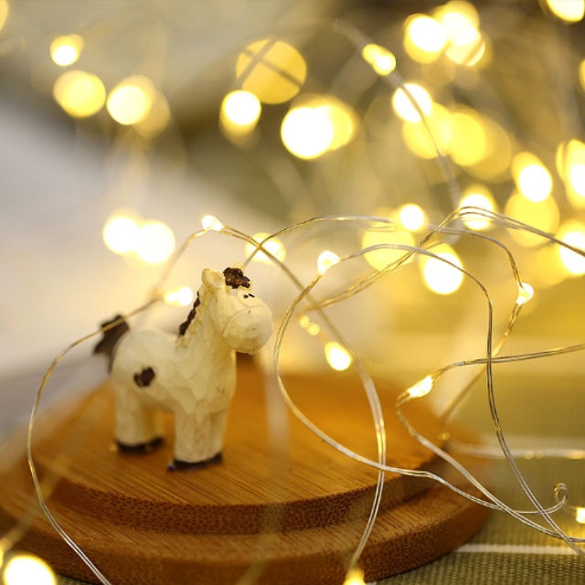 DDUNGK 와이어전구 led 무드등 트리조명 1m 10구 지네 줄조명 앵두 전구