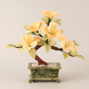 아토제이드 천연 옥꽃 애프리콧 5송이 분재 / 옥꽃 개업화분 승진선물 옥... 실사용 후기 | 효과 있을까? - 상품 이미지 1