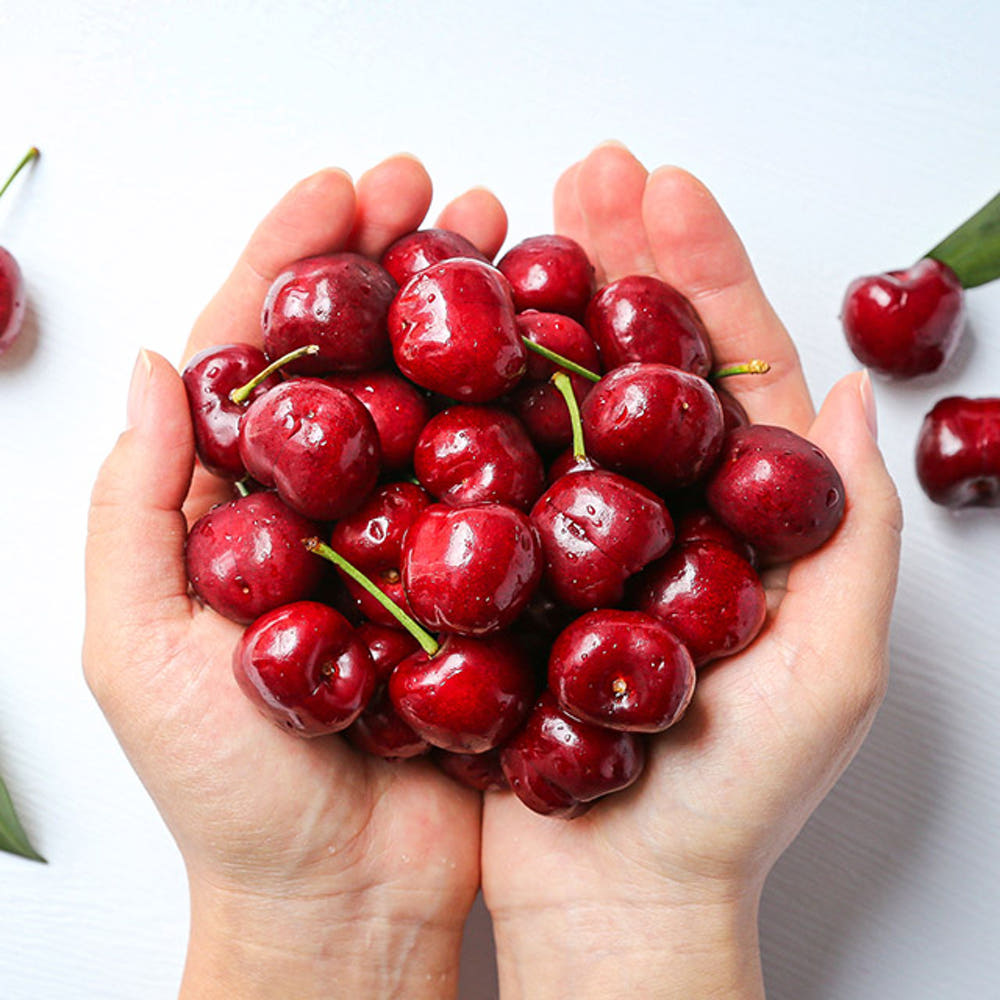 칠레산 생체리 800g