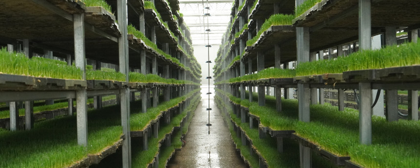 공덕농협 상상초월 설명 7