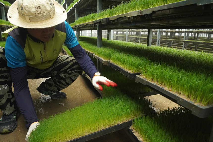 공덕농협 상상초월 설명 8