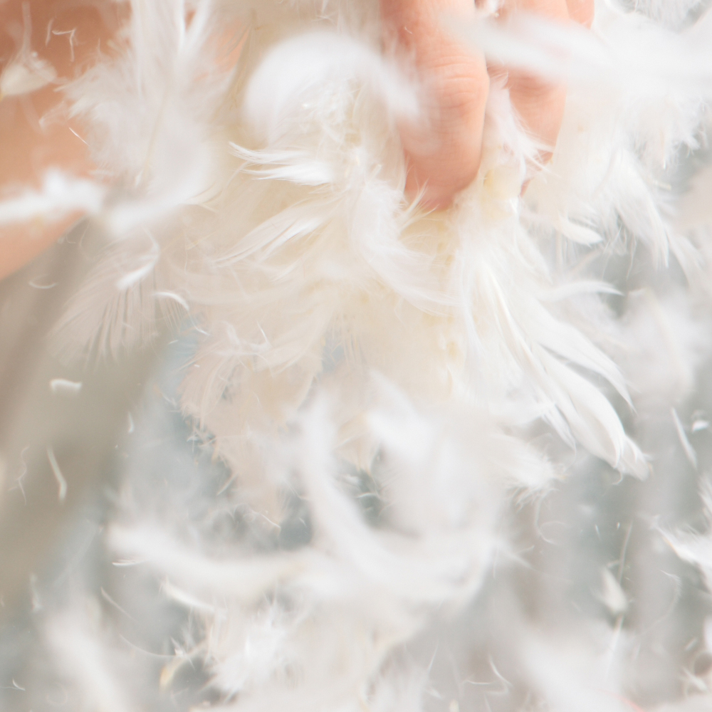 특급호텔침구 호텔식덕다운 혼수용 이불솜