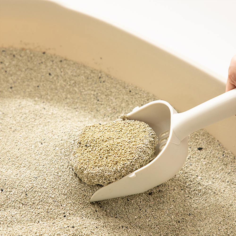 [정기구독1등] 샌드백모래 프리미엄 9kgx2팩 벤토나이트 먼지 냄새 없는 고양이모래