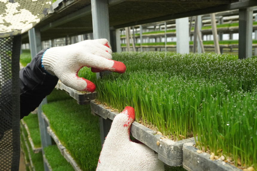 공덕농협 상상초월 설명 9