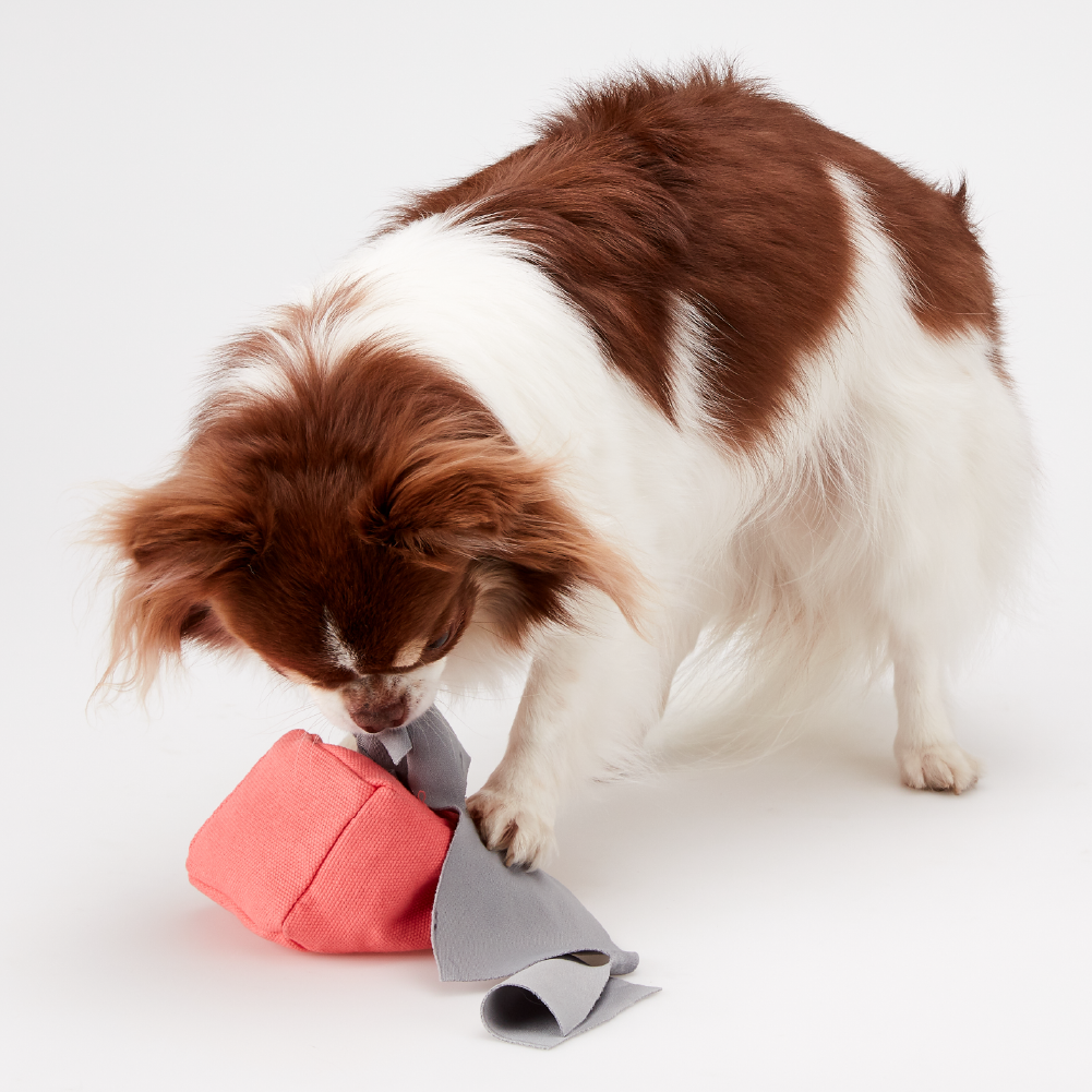 [아아랜드] 다이스랜드set 강아지 분리불안 노즈워크 장난감