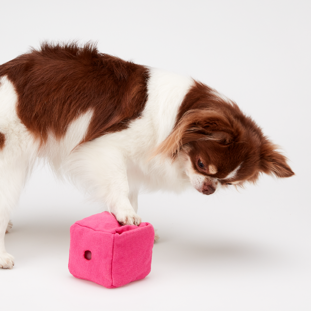 [아아랜드] 다이스랜드set 강아지 분리불안 노즈워크 장난감