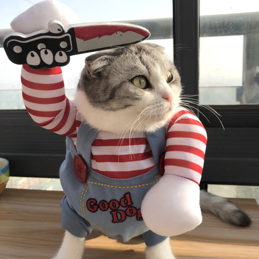 강아지처키옷 고양이 코스프레 코스튬 할로윈 파티 웃긴옷 의상 처키 애견 의류 S 이미지 3