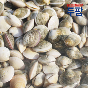 제철 해감 모시조개 1kg 흑모시 백모시 기무락 봉골레 조개 맛있게 먹은 솔직 후기 - 상품 이미지 1