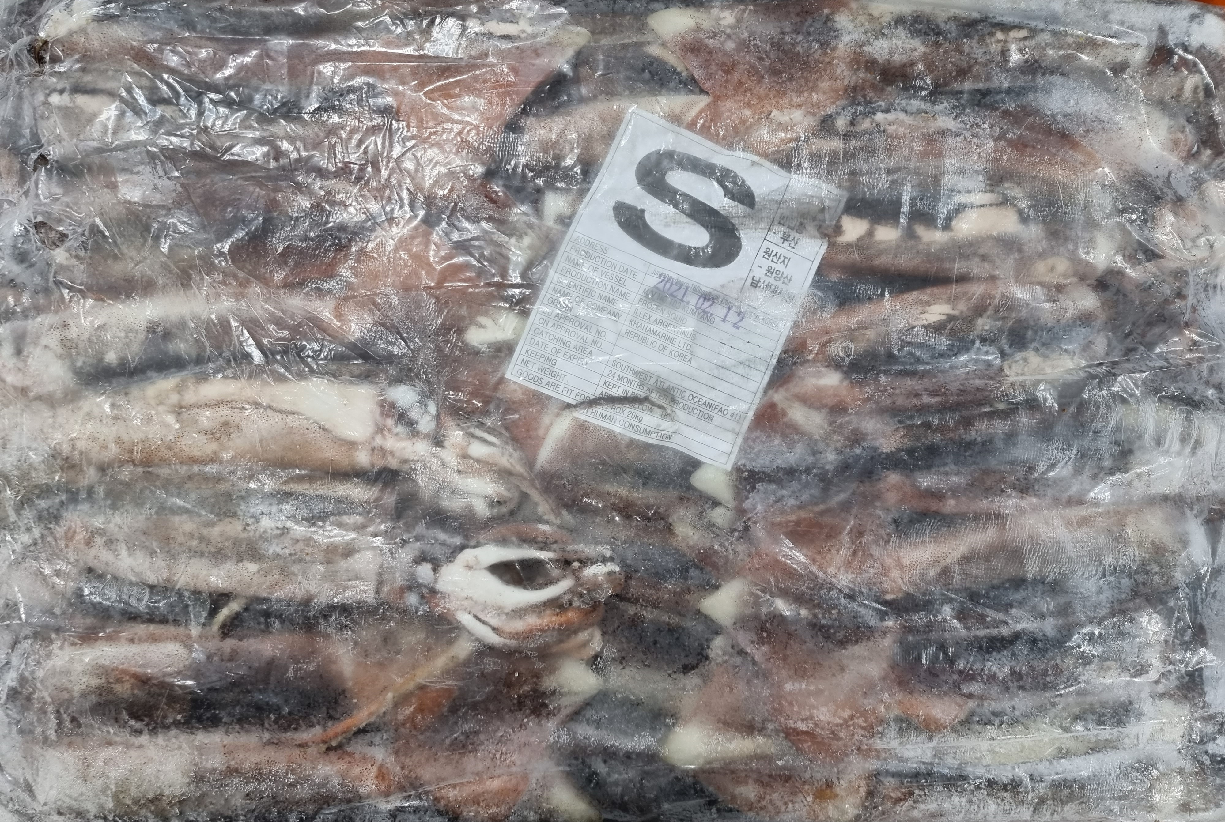 [포클랜드산&대만산] 선동 포크오징어 S / M2 / M 20kg(아이스박스 무료) 냉동오징어 포크오징어 12.3KG~20KG 이미지 6