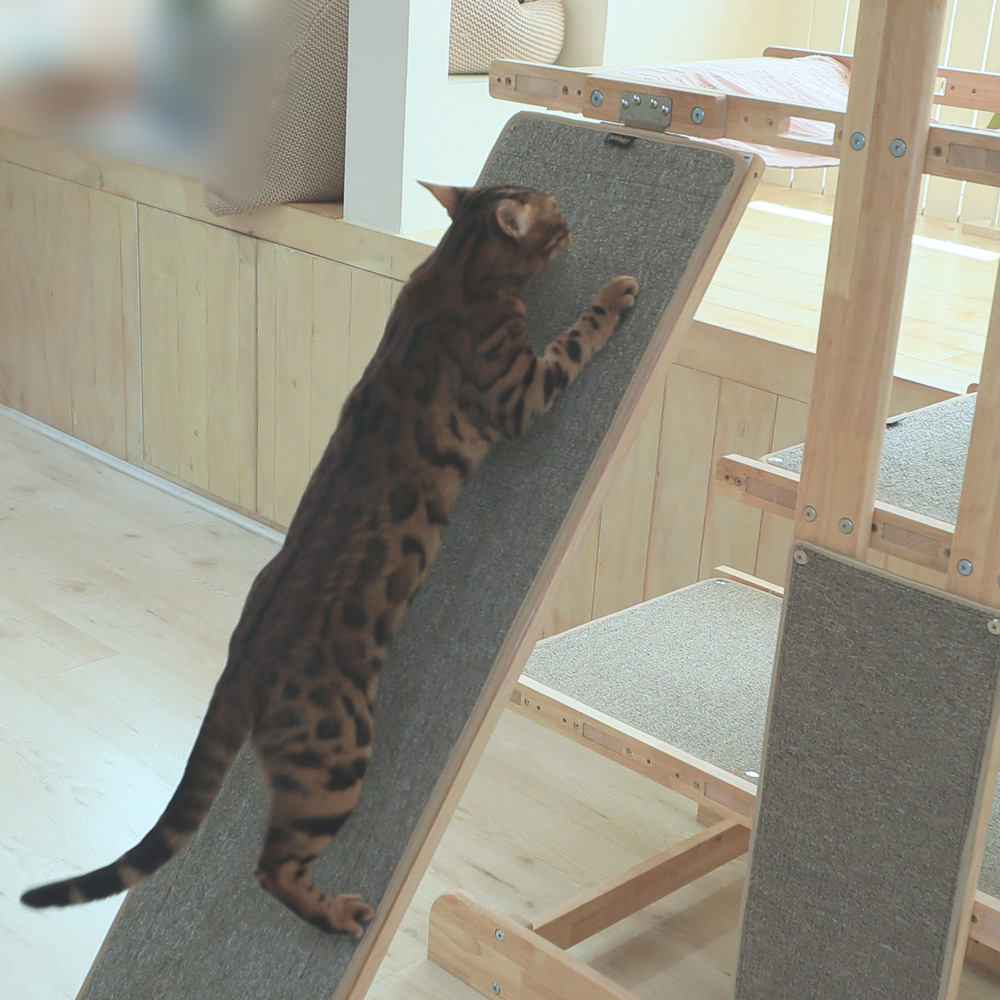 캣츠빌 THE큰타워 원목 캣타워 B타입 천해먹 카페트브라운 슬라이드보드2층