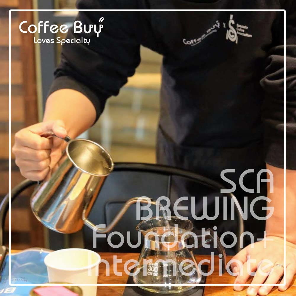 [서울 강남] SCA 커피 브루잉 초급+중급 국제 자격증 과정 (SCA Brewing Foundation+Intermediate