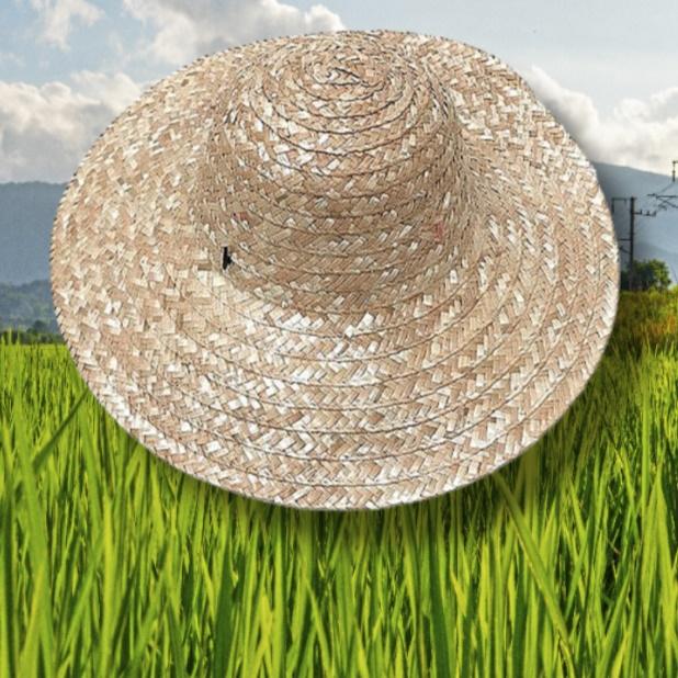 농사밀짚모자 제주도 감 귤 모자 왕챙모자 여름 여행용 베트남 할아버지 라탄 왕골 농사꾼 - 상품 이미지