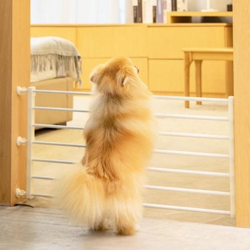 강아지현관문 개벽 개문 강아지 출입 문 반려견 안전문 낮은 현관 펜스문 애견 애완견