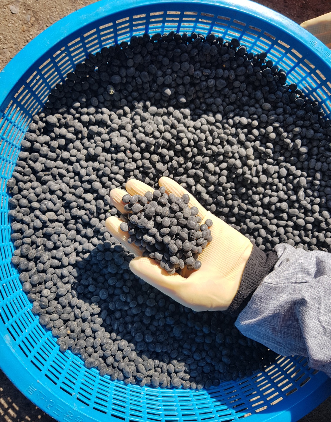 [직접만든] 국산 까망선식 선식 검은콩 미숫가루 블랙푸드 200g, 1개 - 상세 이미지 5