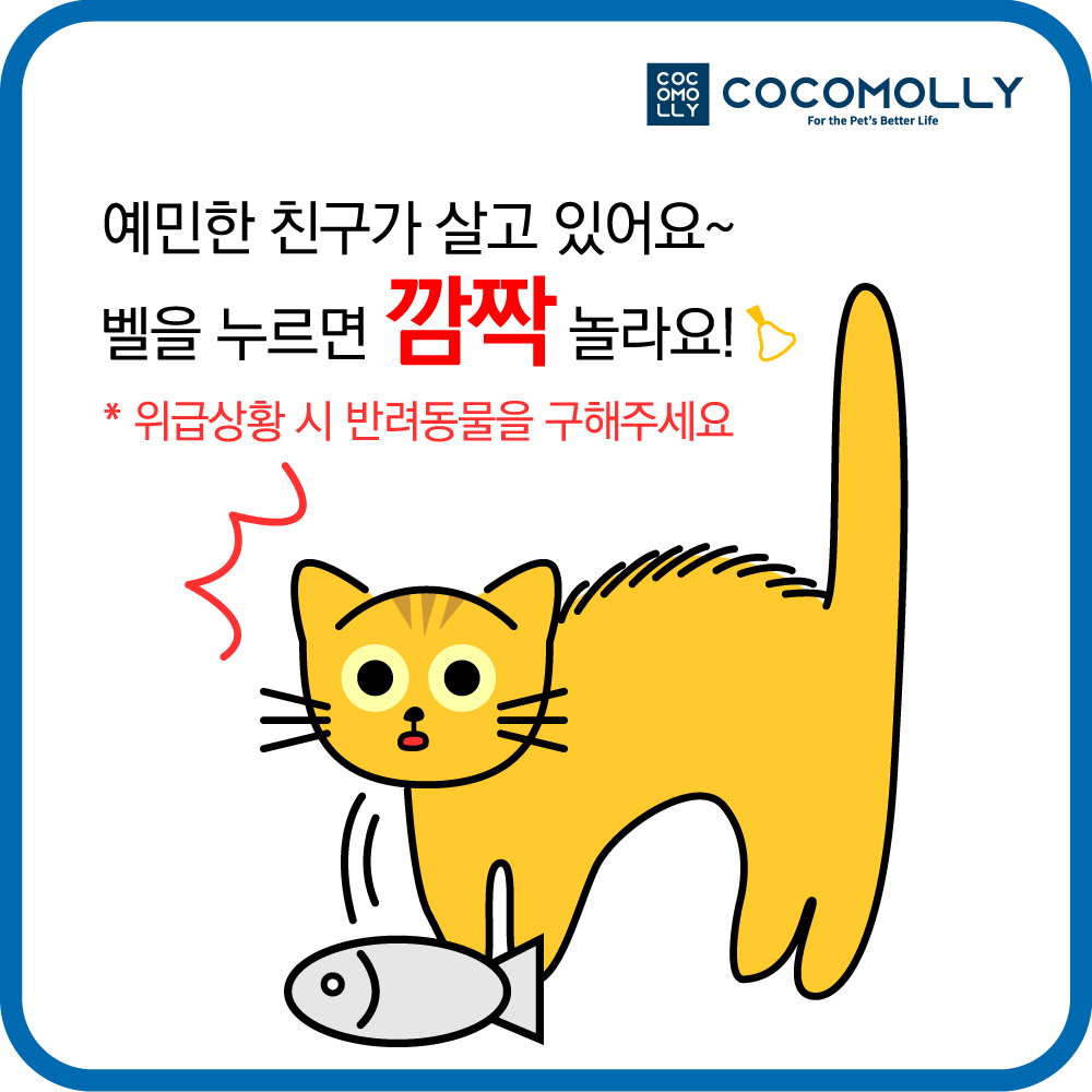 코코몰리 강아지 고양이 응급구조 도어사인 택배 초인종 노크금지 벨금지 안내 명패 - 상세 이미지 2