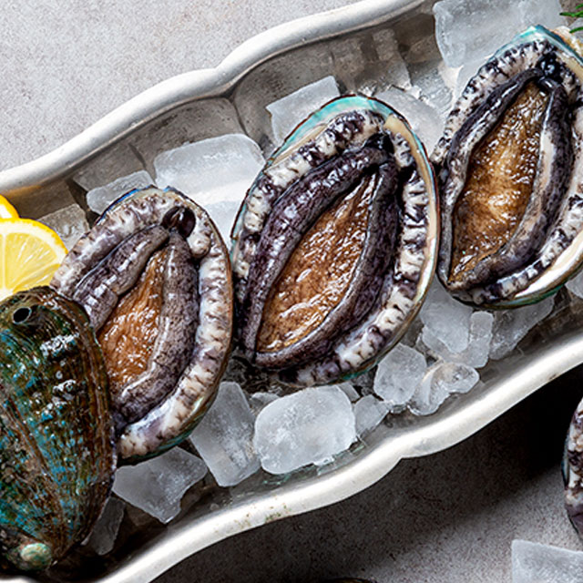 주문당일포장 특대 선물용 완도다시마 전복 1.5kg 15미내외