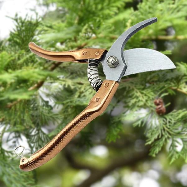 분재용 농사용 꼭지 작업용가위 나무자르는가위 포도 사과 적과 가위 정원용 가드닝 조경용