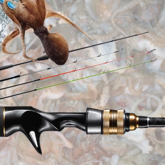 초보자용 쭈꾸미낚시대 선상 쭈꾸미대 에깅 낚시대 갑오징어 광어 다운샷 로드 한치 농어대