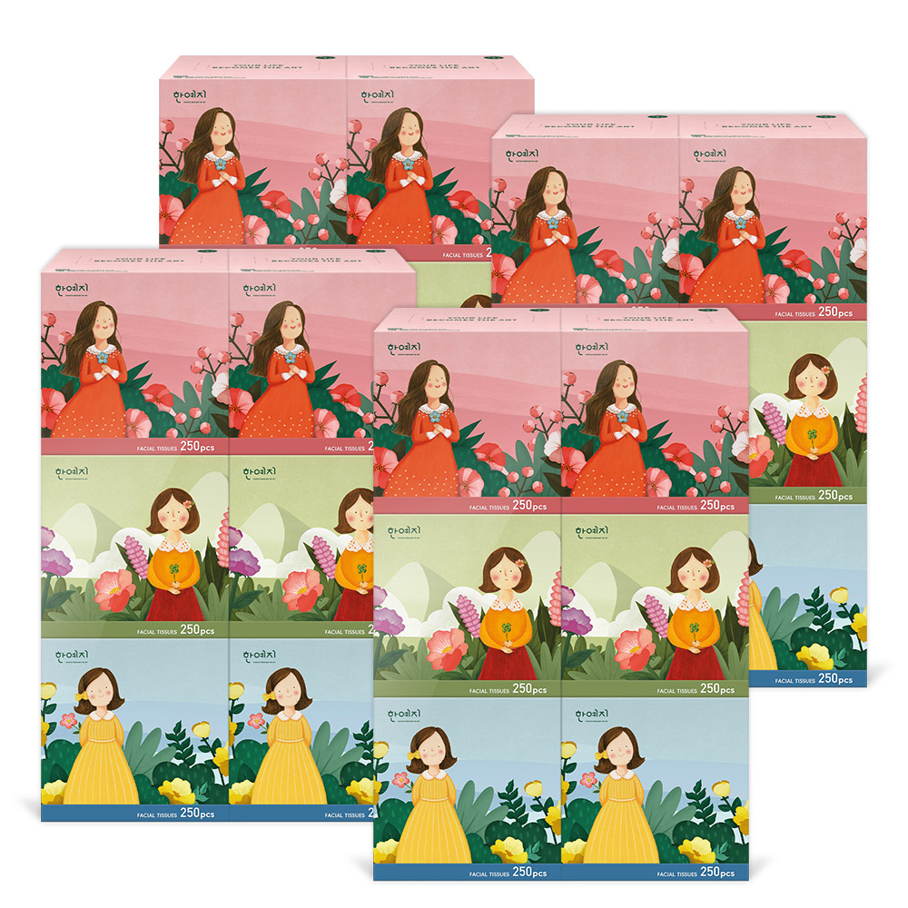 한예지 캐릭터 MINI 천연펄프 곽티슈 각티슈 미용티슈 250매 6입 4팩 - 상세 이미지 2