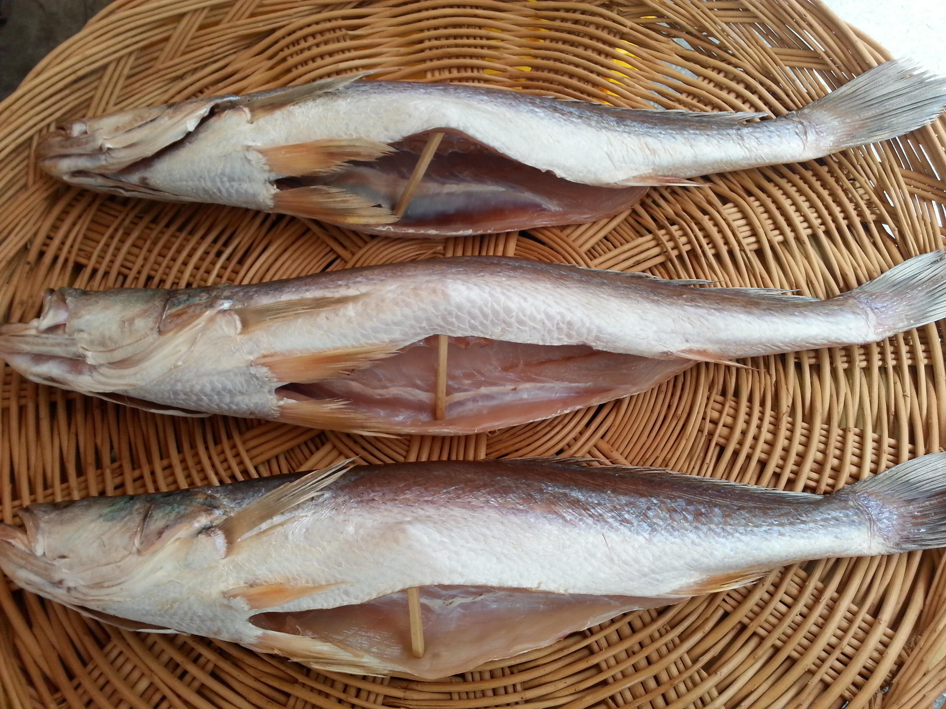 뾰족조기43-44cm 3마리 제수용생선 반건조생선 말린생선 싱싱수산 파는곳