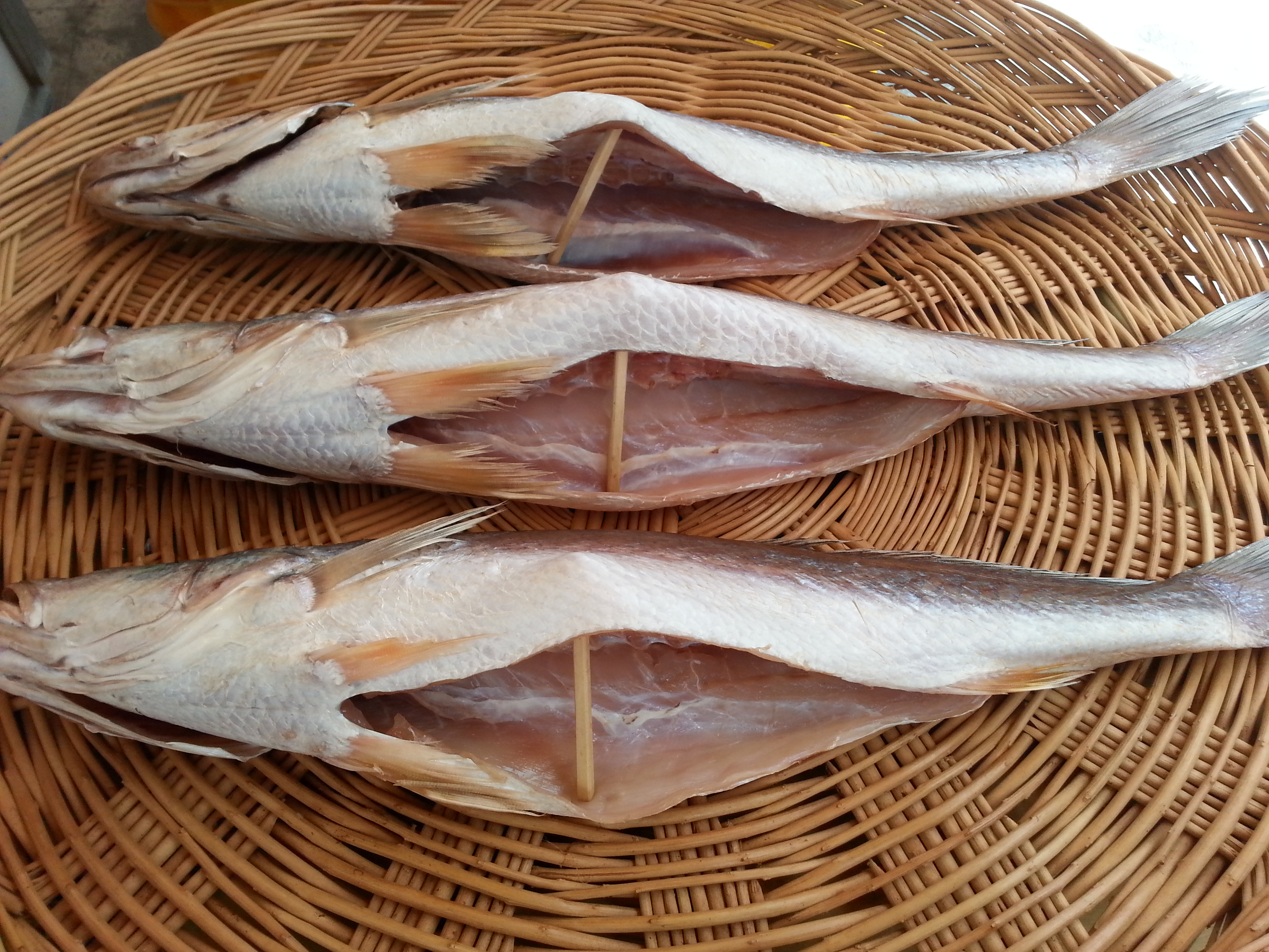 뾰족조기 37-38cm 3마리 제수용생선 말린생선 반건조생선 파는곳 싱싱수산