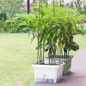 30L대형 텃밭화분 상추키우기 대파키우기 플라스틱 저면관수 베란다텃밭 홈... 실사용 후기 | 효과 있을까? - 상품 이미지 3