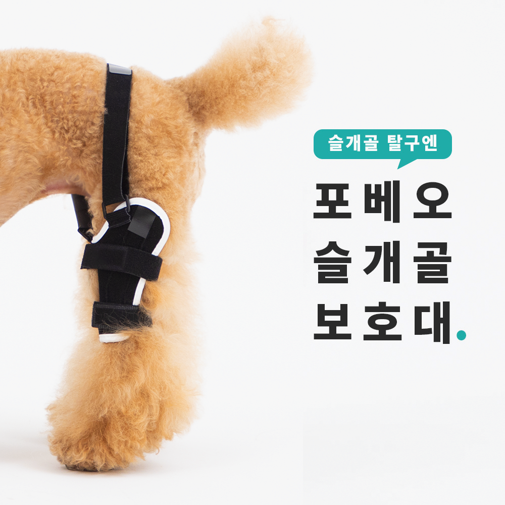 포베오 슬개골 보호대 - 반려견 슬개골 탈구 예방, 재활 & 강아지 다리 십자인대 보호 보조기