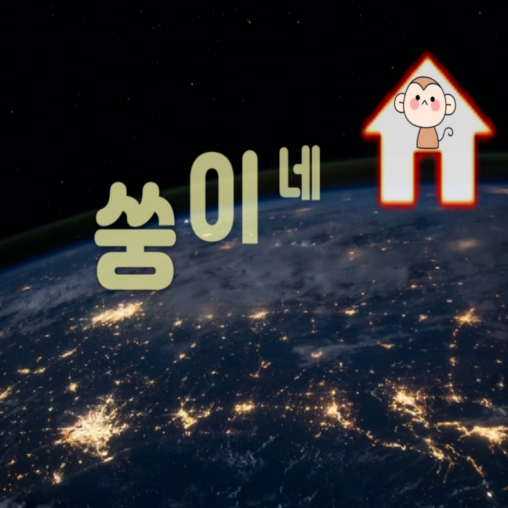 쑹이의마켓 스토어 로고