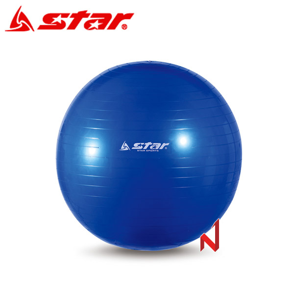 스타 헬스용품 짐볼 55cm EB240-07 발 펌프 포함 : 넘버원 스포츠