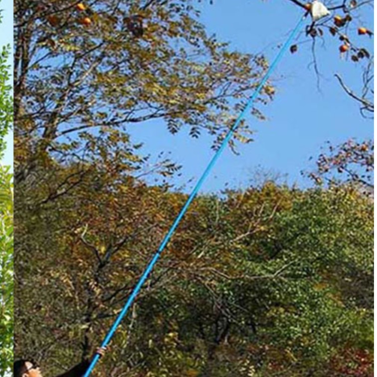 과일 따개 과일 따는 기구 도구 작업용 가위 감 따기 과수원 복숭아 사과 수확기 채집기 - 상세 이미지 4