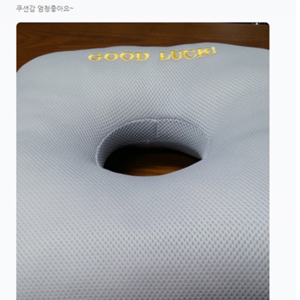 국산 원형 사각형 기능성 도넛 치질 방석 엉덩이 안아픈 똥꼬 방석 공시생 수험생 퍼플 - 상세 이미지 5
