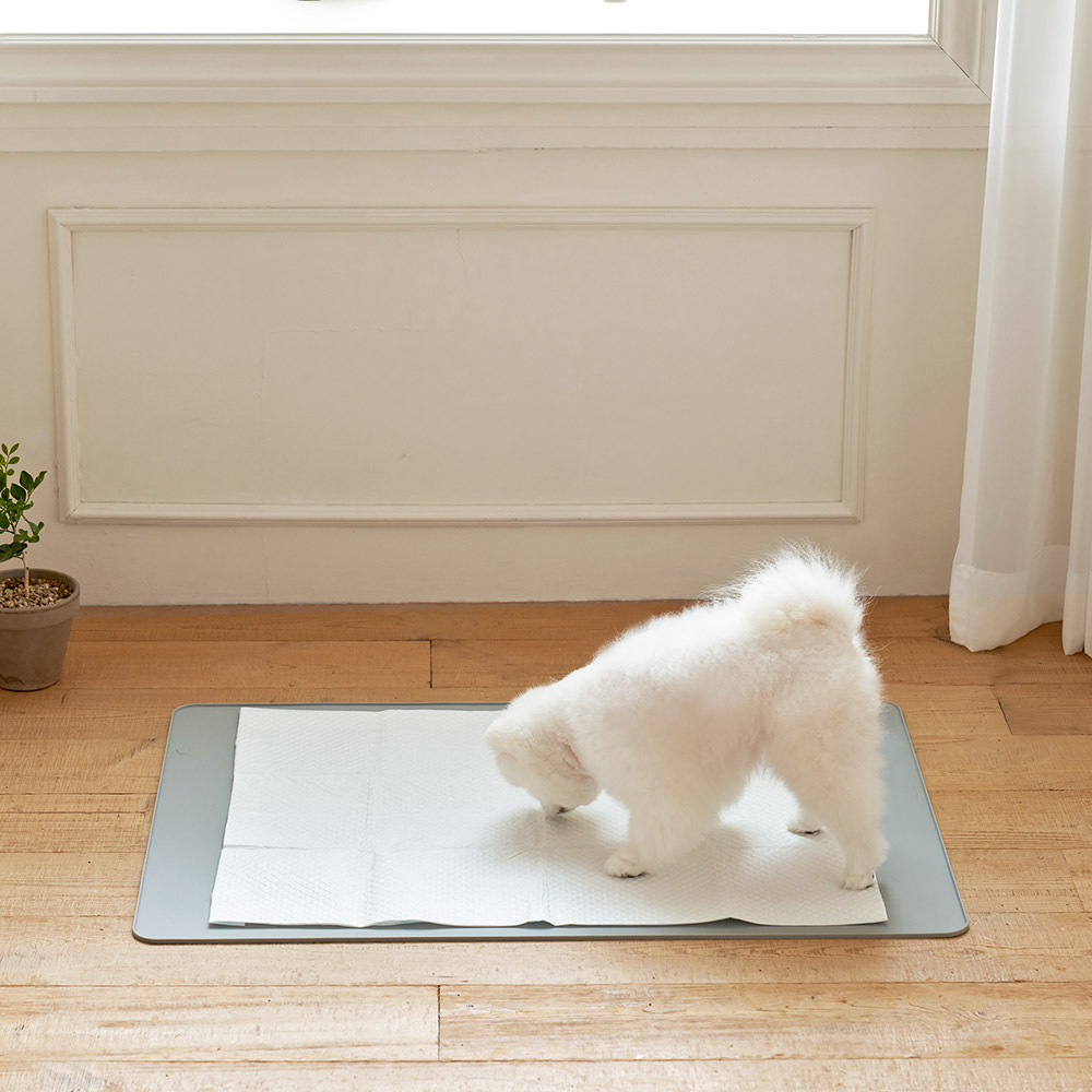 울리 엣지 실리콘 배변 매트 국내생산 강아지 배변판 55 이미지 3