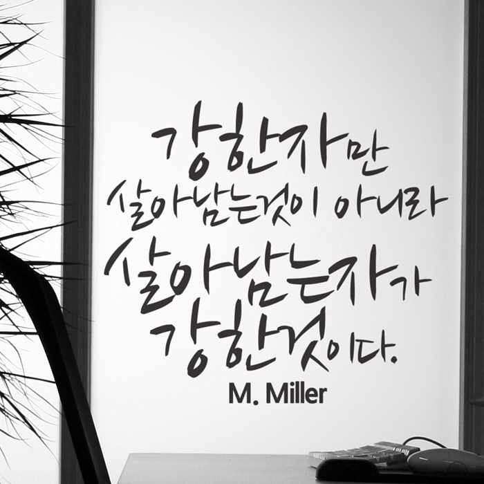 스티커사진 강한자만살아남는것 완제품C 색상입력형 시트지문구 - 상품 이미지