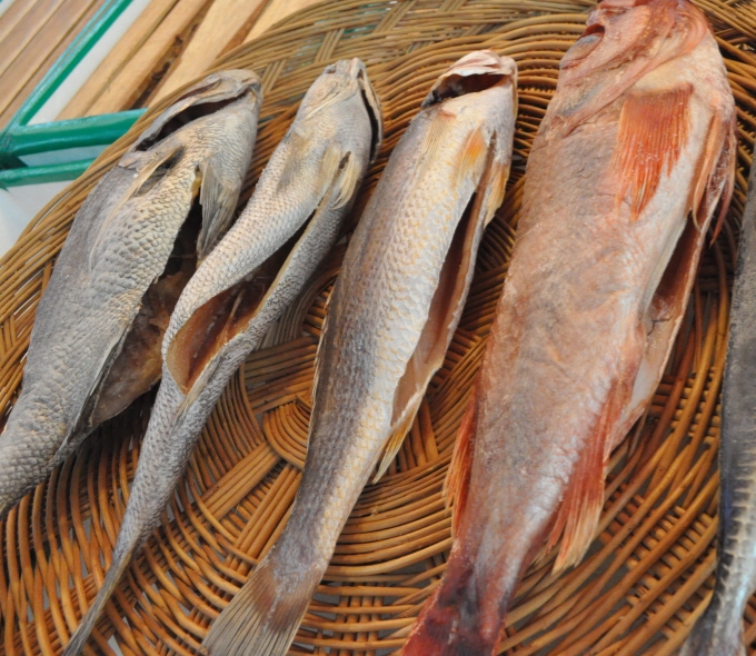 제수용 생선 (국산참돔 민어)37-38cm 조기 37-38cm 빨간고기 37-41cm - 상품 이미지