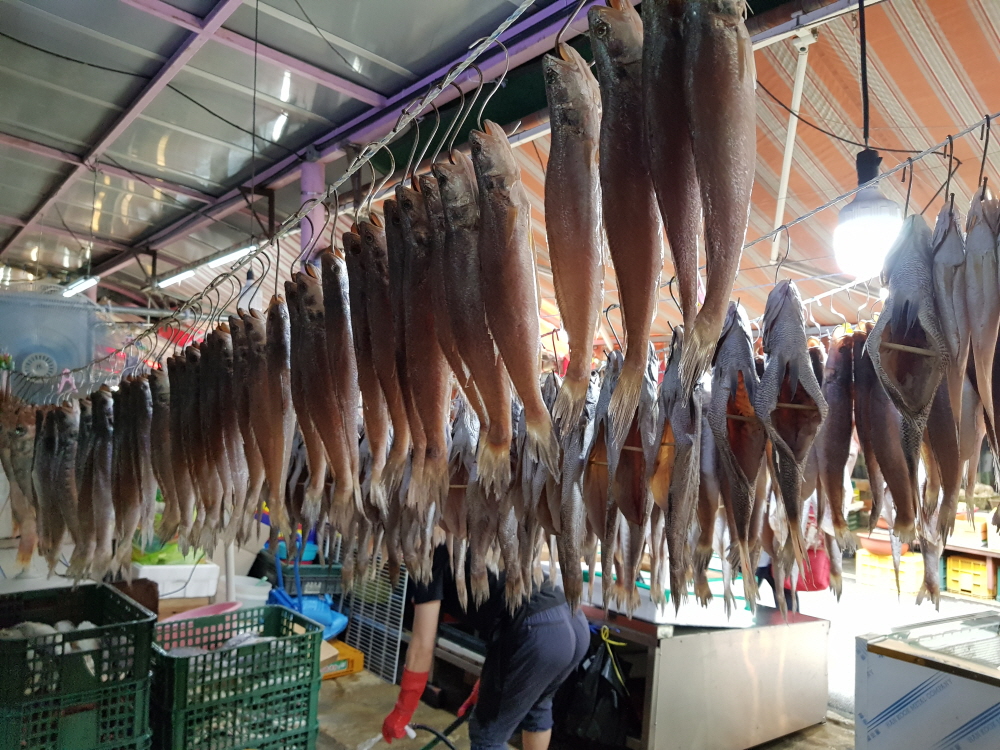 뾰족조기39-40cm 3마리 제수용생선 반건조생선 말린생선 싱싱수산 파는곳 - 상세 이미지 5