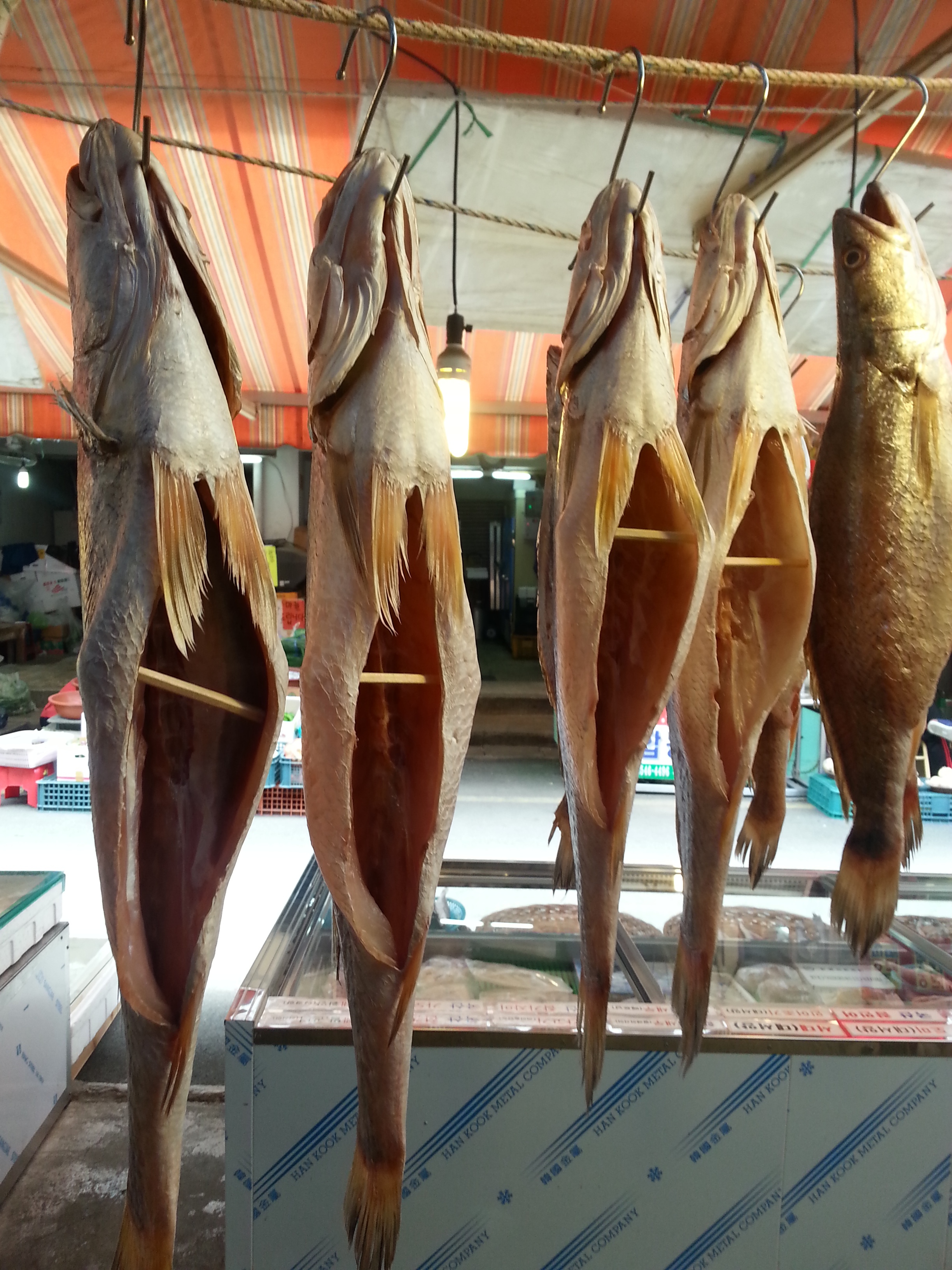 반건조생선 뾰족조기 33-34cm 3마리 파는곳 싱싱수산 - 상세 이미지 5