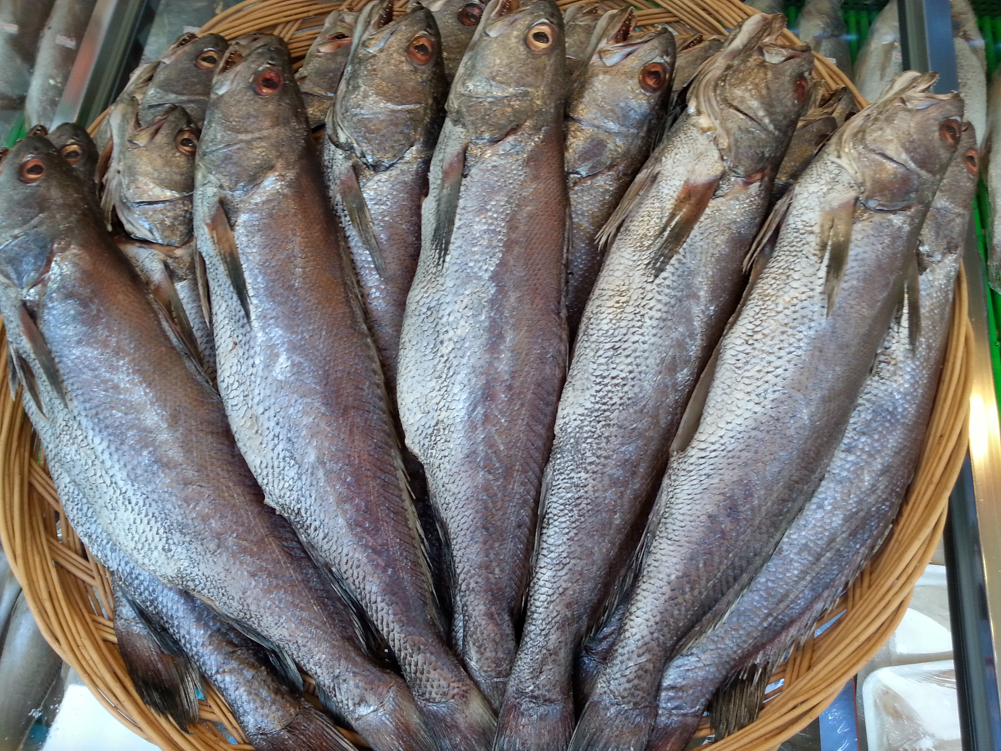 제수용 생선 (국산참돔 민어)37-38cm 조기 37-38cm 빨간고기 37-41cm - 상세 이미지 5