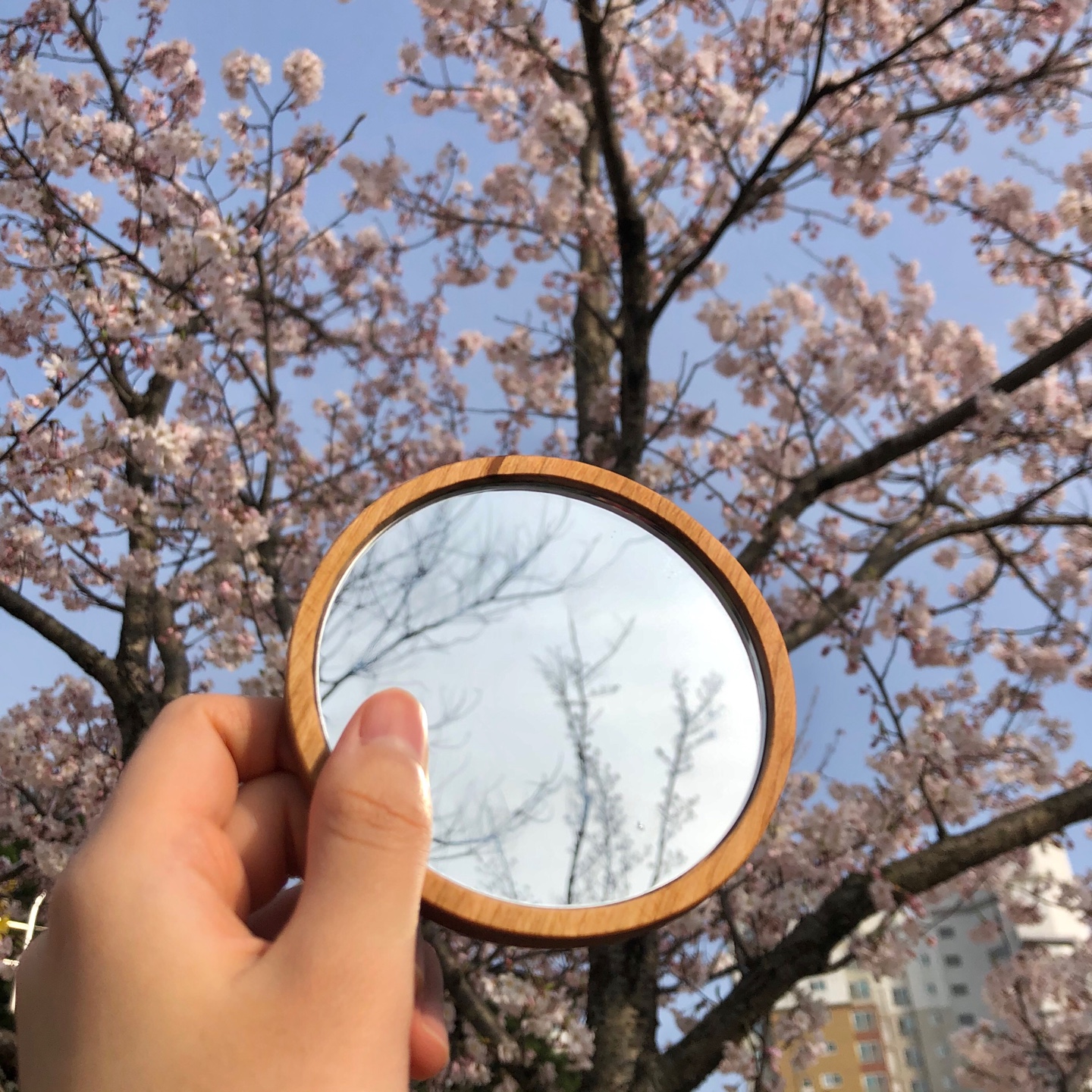 체리 원목 원형 나무 손거울 제작 (각인 가능)