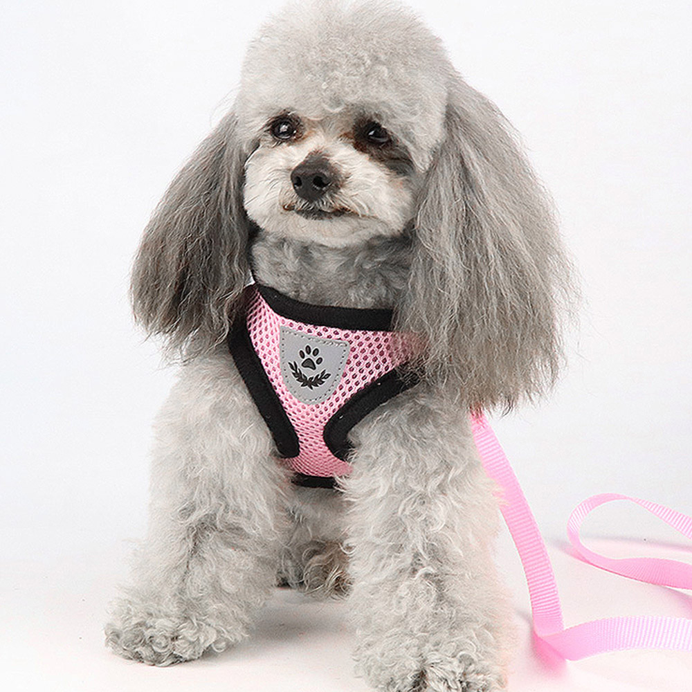 HARNESS 앞섬방지 하네스 옷 강아지 소형견 목줄 고양이 가슴줄 러프웨어 이미지 6