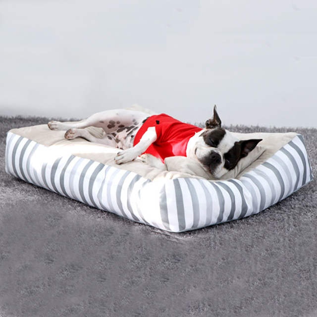 탄탄 애견침대 소파 강아지쇼파 쿠션 펫 코든 버블그레이 대형