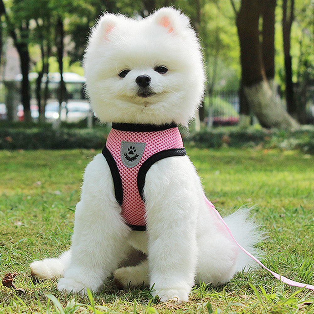 HARNESS 앞섬방지 하네스 옷 강아지 소형견 목줄 고양이 가슴줄 러프웨어 - 상세 이미지 3