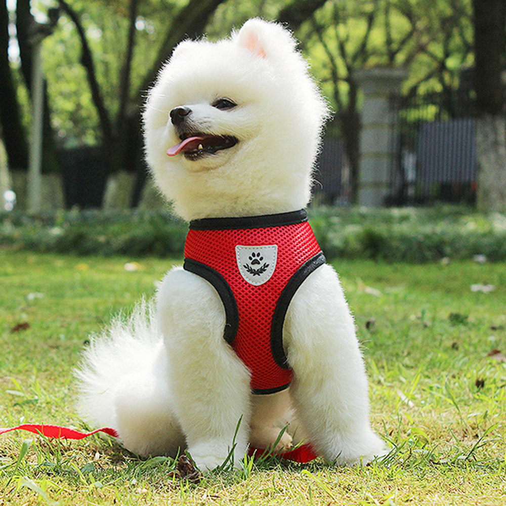 HARNESS 앞섬방지 하네스 옷 강아지 소형견 목줄 고양이 가슴줄 러프웨어 - 상세 이미지 2