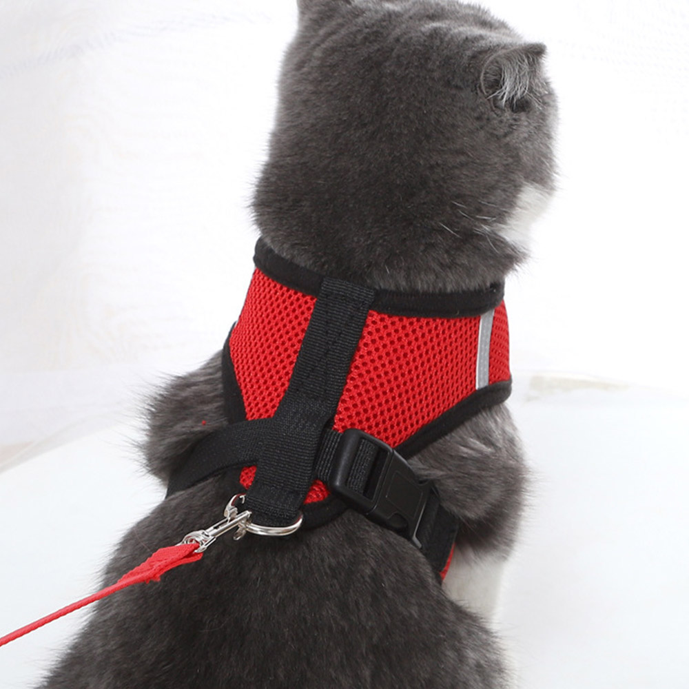 HARNESS 앞섬방지 하네스 옷 강아지 소형견 목줄 고양이 가슴줄 러프웨어 - 상세 이미지 5