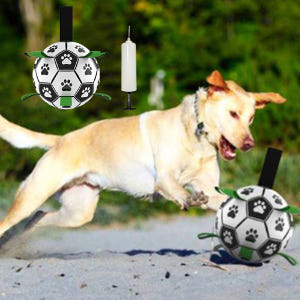 애견 축구공 15cm 강아지 장난감 줄 끈달린공 물놀이 공놀이 터그 노즈... 솔직 후기 | 실제 사용자 리뷰 총정리 - 상품 이미지 3