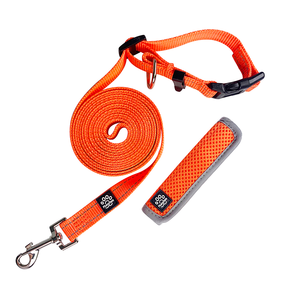 강아지 리드줄 핸즈프리 산책줄 3미터 어깨 허리 S