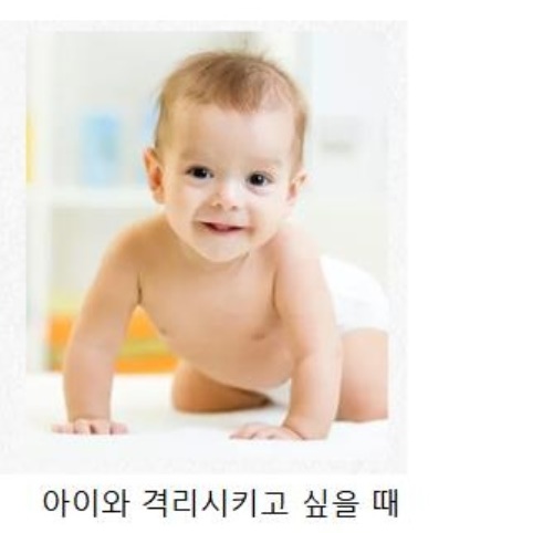 강아지현관문 개벽 개문 강아지 출입 문 반려견 안전문 낮은 현관 펜스문 애견 애완견