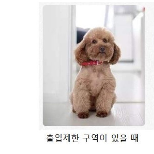 강아지현관문 개벽 개문 강아지 출입 문 반려견 안전문 낮은 현관 펜스문 애견 애완견